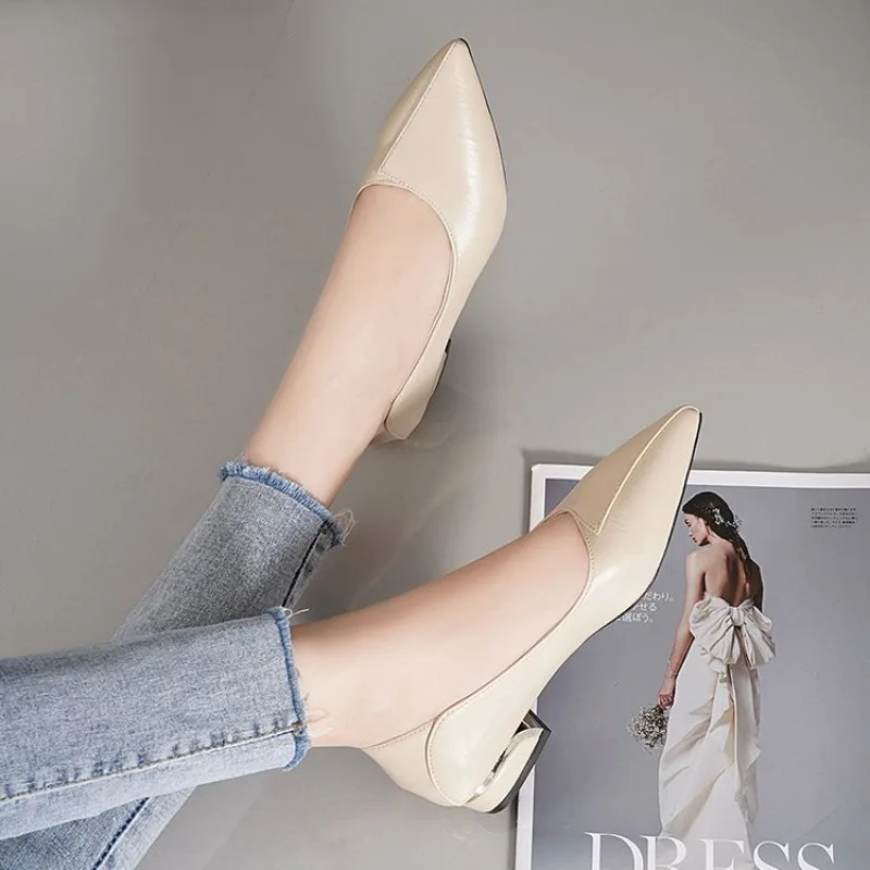 2026 Frühling und Herbst Neue Spitze Pumps für Damen mit Dickem Absatz und Flachem Schaft Professionelle Allround-Damenschuhe – Detail 7