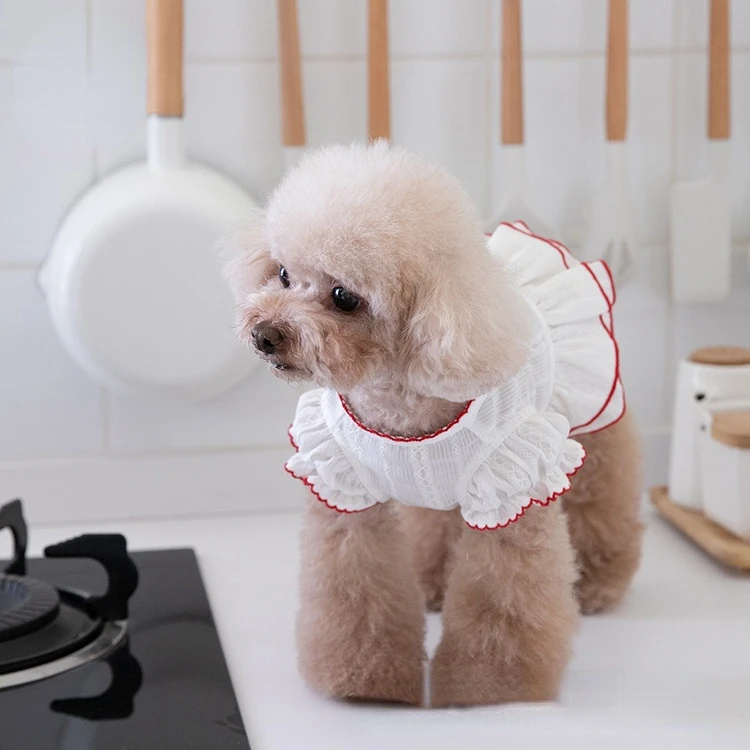Spring Summer Cute Jacquard Bud Edge White Cotton Short Skirt Pet Clothes Cat and Dog Clothing Teddy Bear Cooling Summer Dog