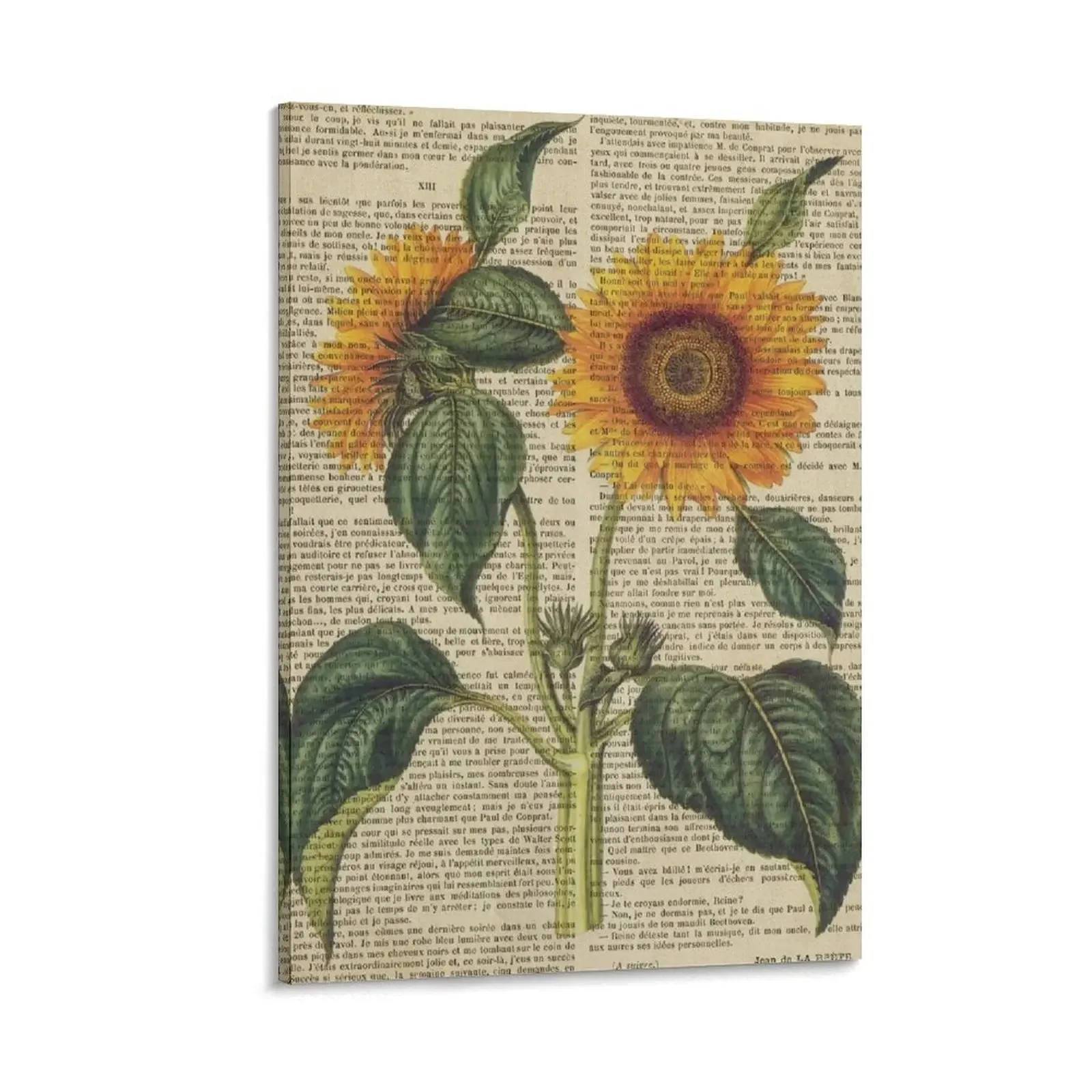 Botanical print, on old book page - Sunflower Canvas Painting painting anime