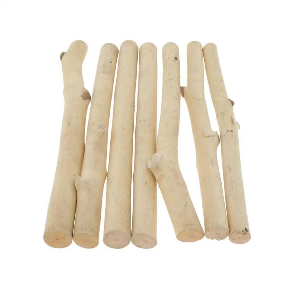 7Pcs Natural Wood Pieces Log cm Northumbrian Coastline Display Arts And Craft DIY Decorating, Creating