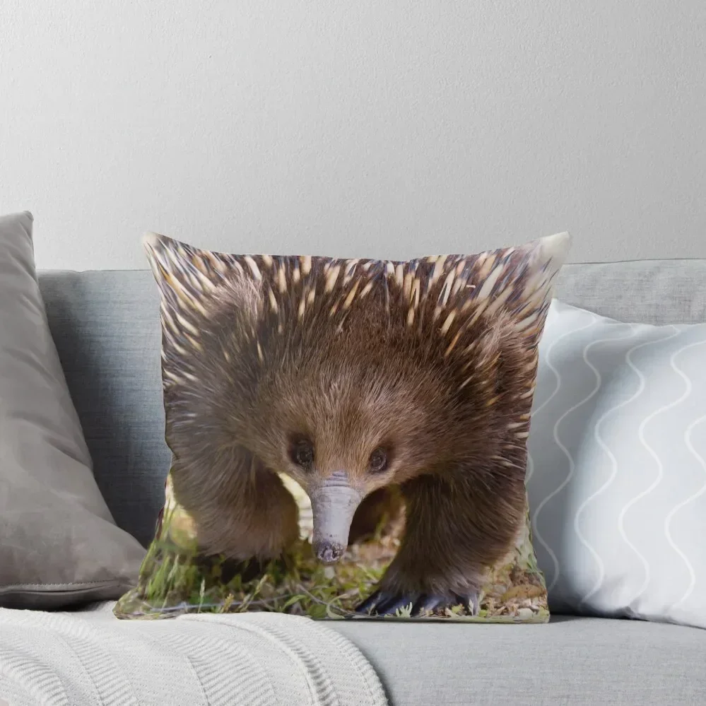 Echidna Prowl Throw Pillow Sitting Cushion Pillow Covers Decorative pillow