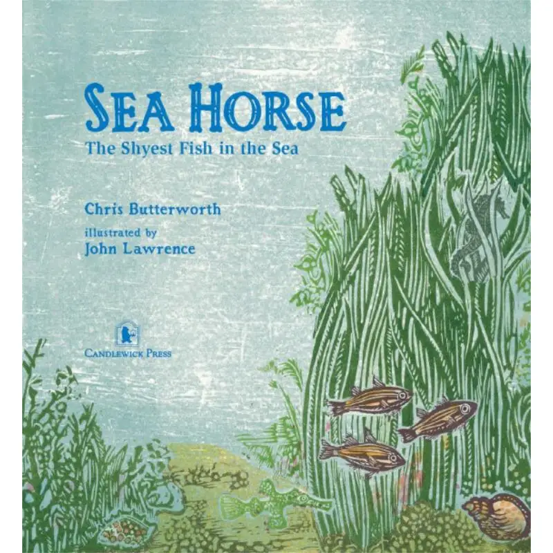 Sea HorseThe Shyest Fish In The Sea Chris Butterworth Candlewick Press 9780763641405 Book
