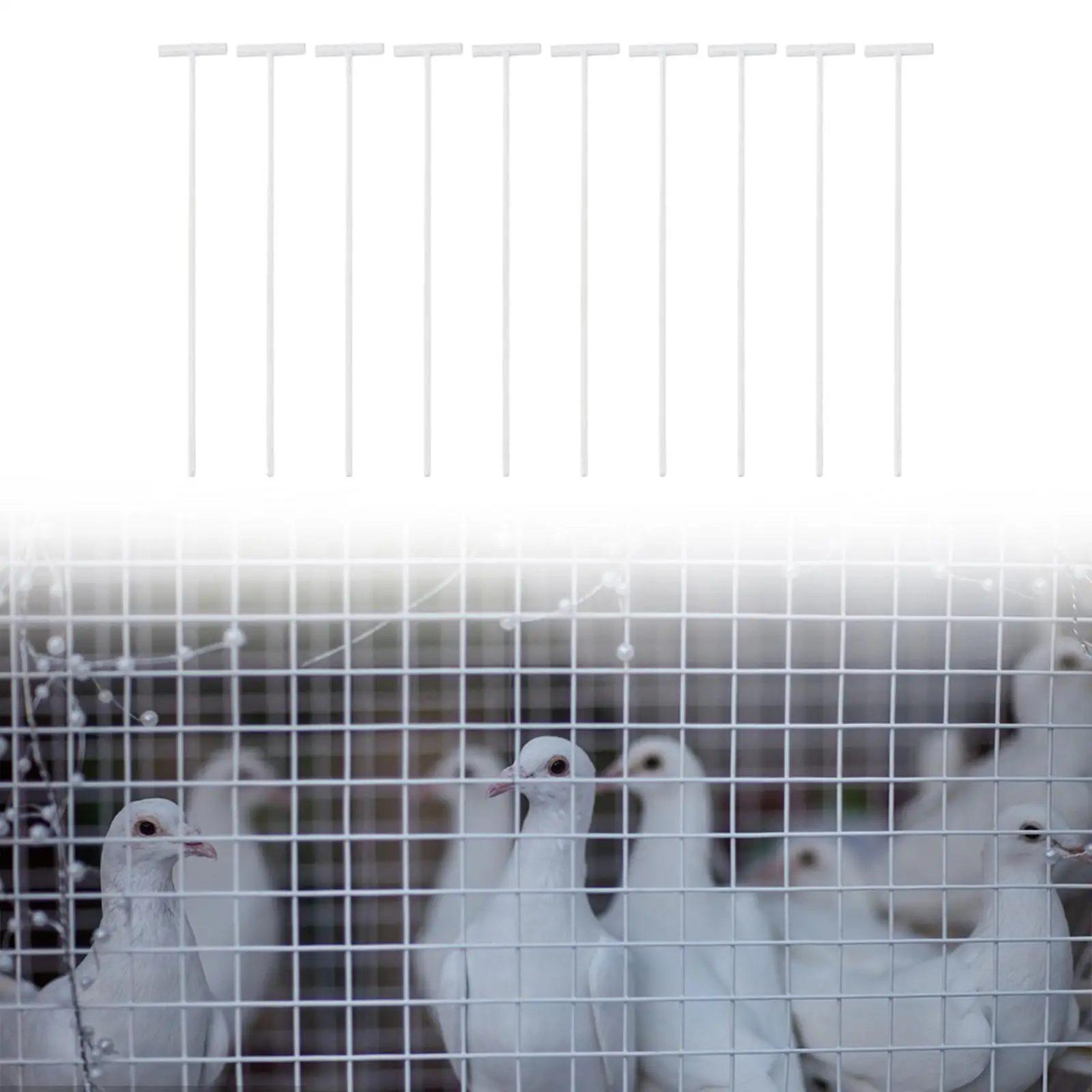 Barra de entrada tipo T desmontable para jaulas de pájaros y palomas - imagen 2