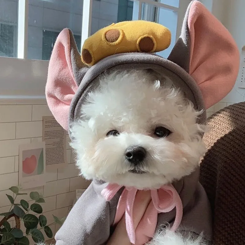 Two Feet Hoodie for Dogs and Cats, Kawaii Cartoon, Bear, Pig, Mushroom Design, Outdoor Warm Role Play Clothes, Pet Clothes, Autu