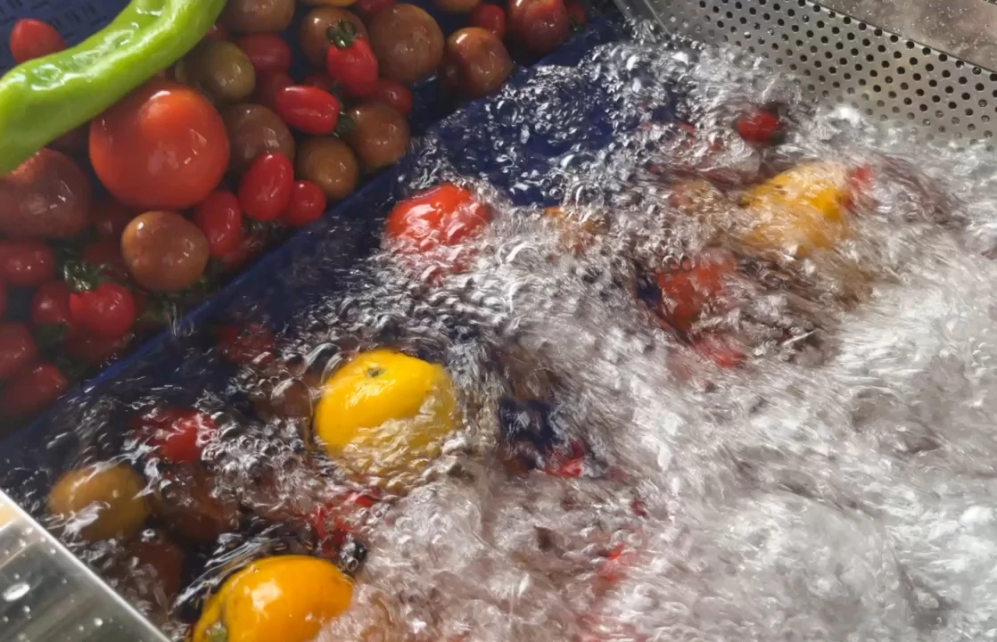 果物と野菜の洗濯機,果物の洗濯機,野菜の掃除機