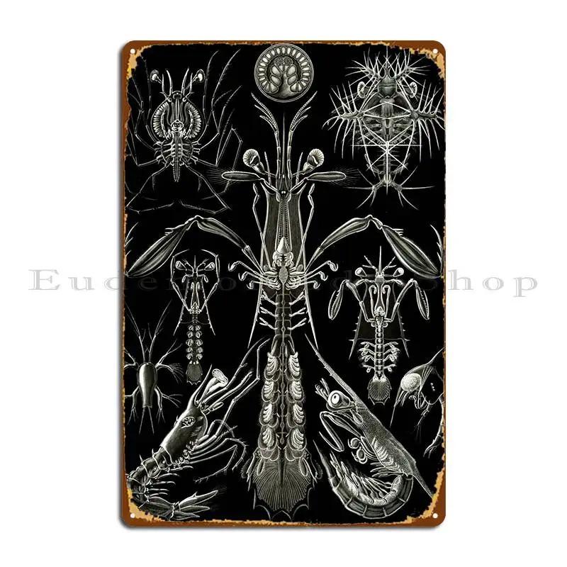 

Haeckel Thoracostraca Metal Sign Kitchen Kitchen Wall Plaque Design Living Room Tin Sign Poster
