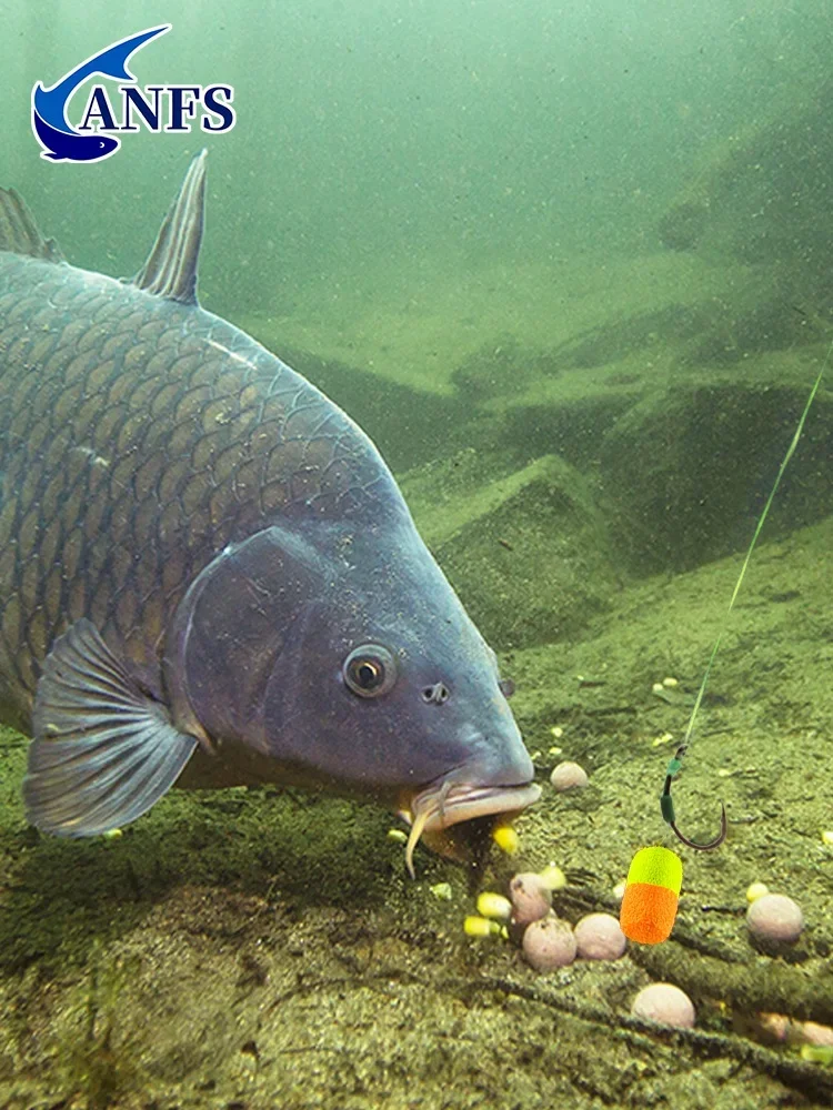 ANFS 15 pièces appât de pêche à la carpe Pop Up Boilie de Double couleur pour plate-forme à cheveux accessoires de pêche flottant carpe plate-forme méthode mangeoire