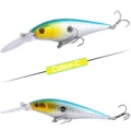 2Pcs Color 3