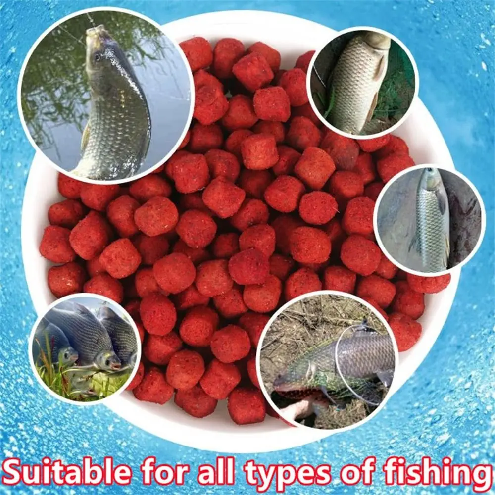 1/3Pcs Concentrated Fishing Lure High Protein Fishy Taste Fishing Attractant for Dace Bream Carp Tilapia Crucian Carp