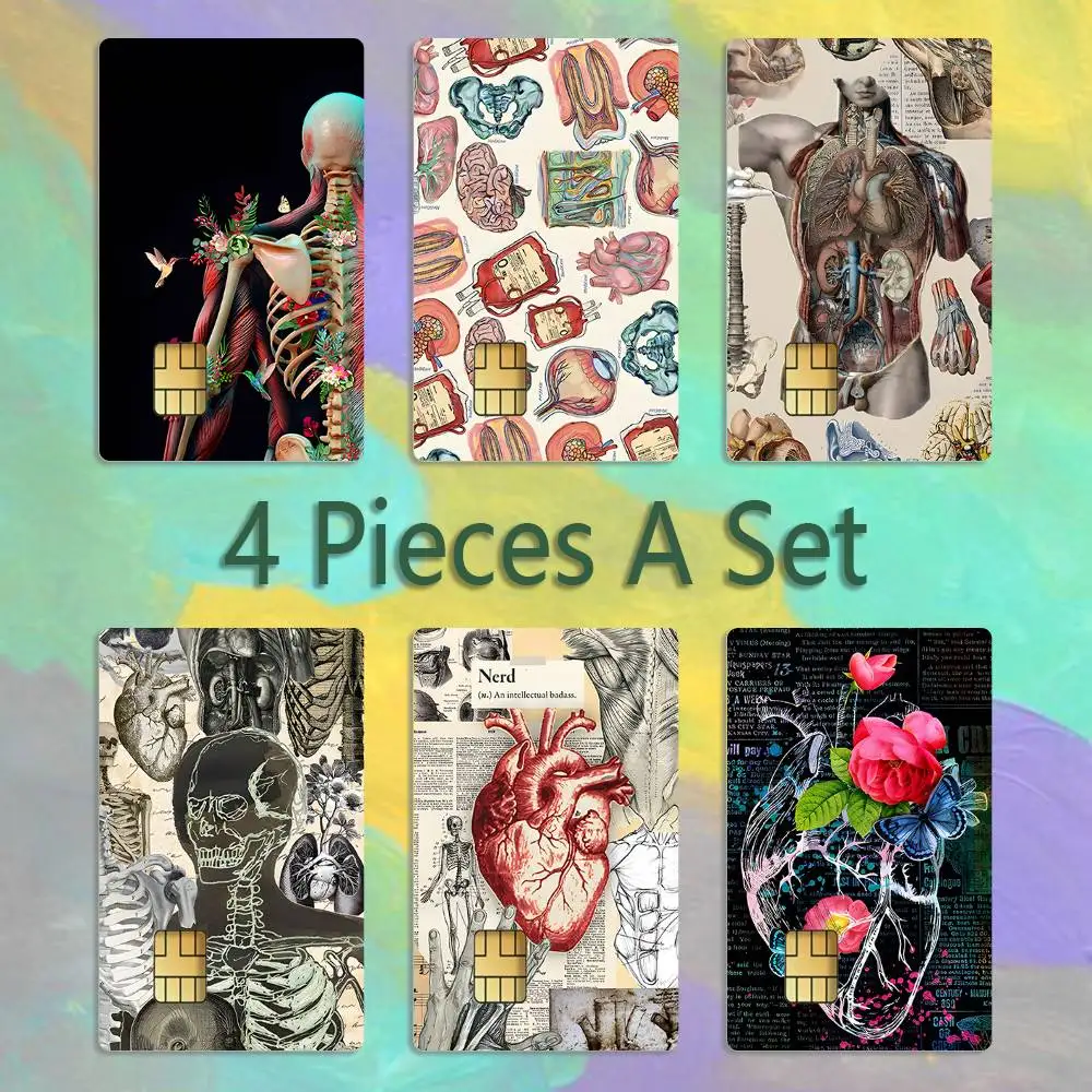 

Medical Human Anatomy Credit Card 4PCS Anti-scratch Waterproof Stickers for Bank Debit Decorative Protection