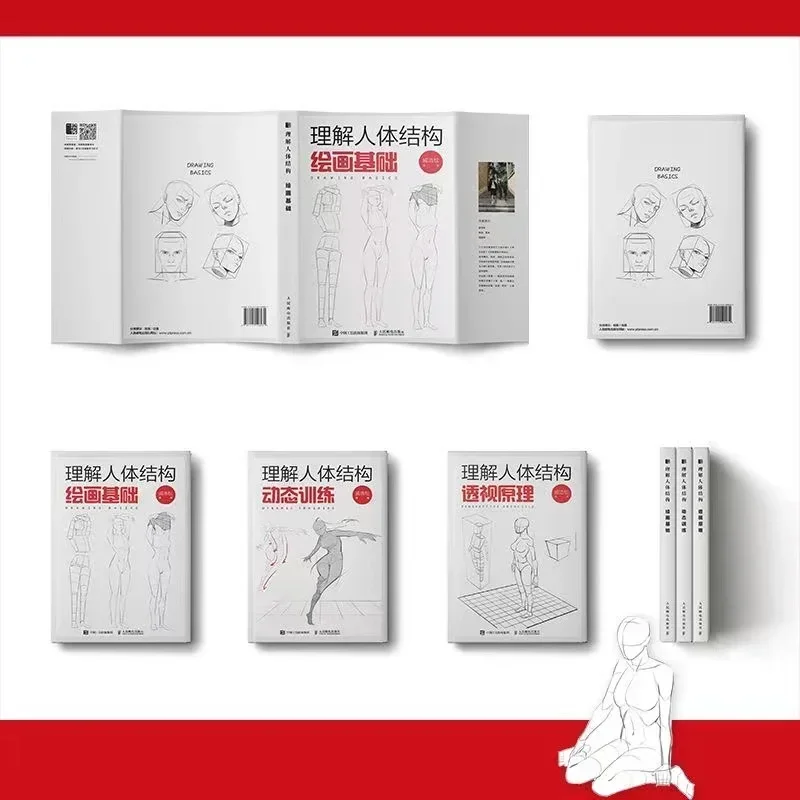 New Understanding Basics Anime Painting Tutorial Art  Human Body Structure: Dynamic Training + Perspective Principle + Drawing