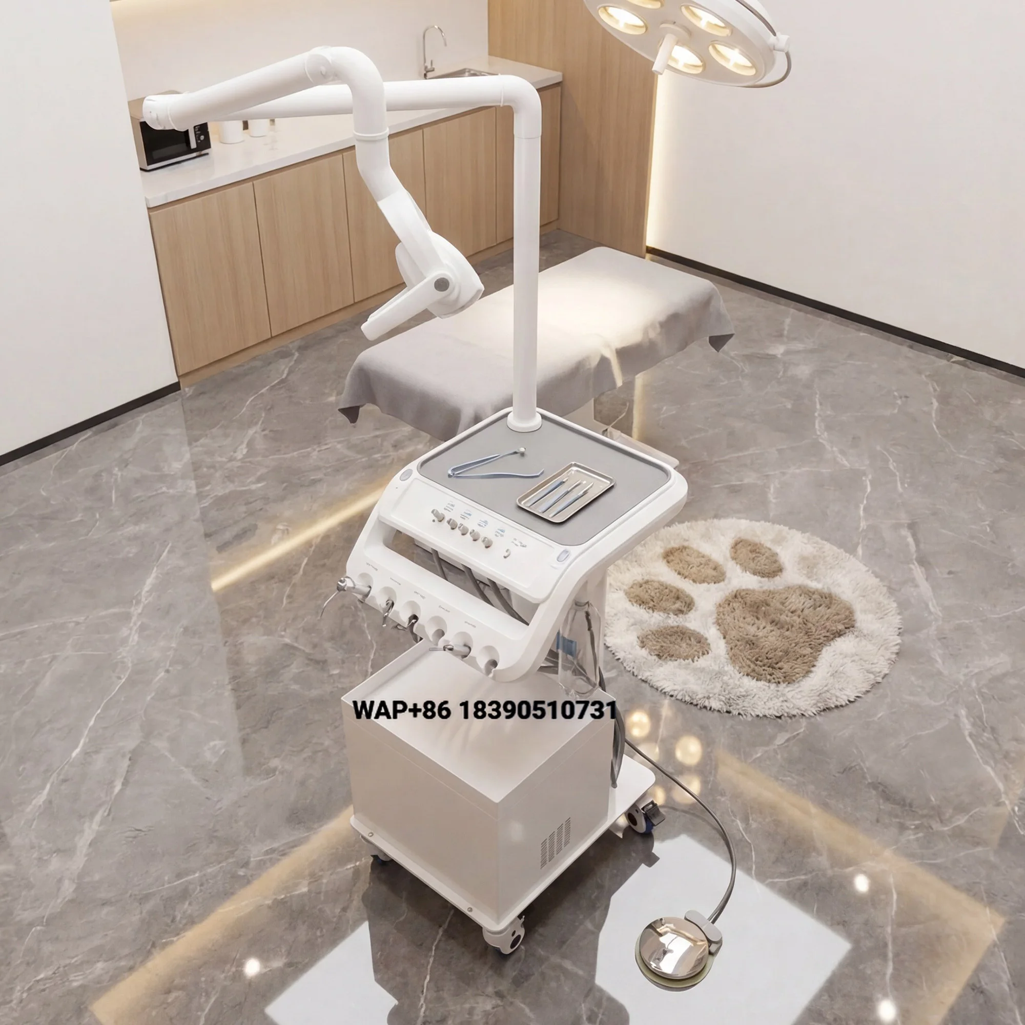 High Quality Mobile VeterinaryTreatment Vehicle 600W Oil Free Compressor Pet Clinic Cleaner