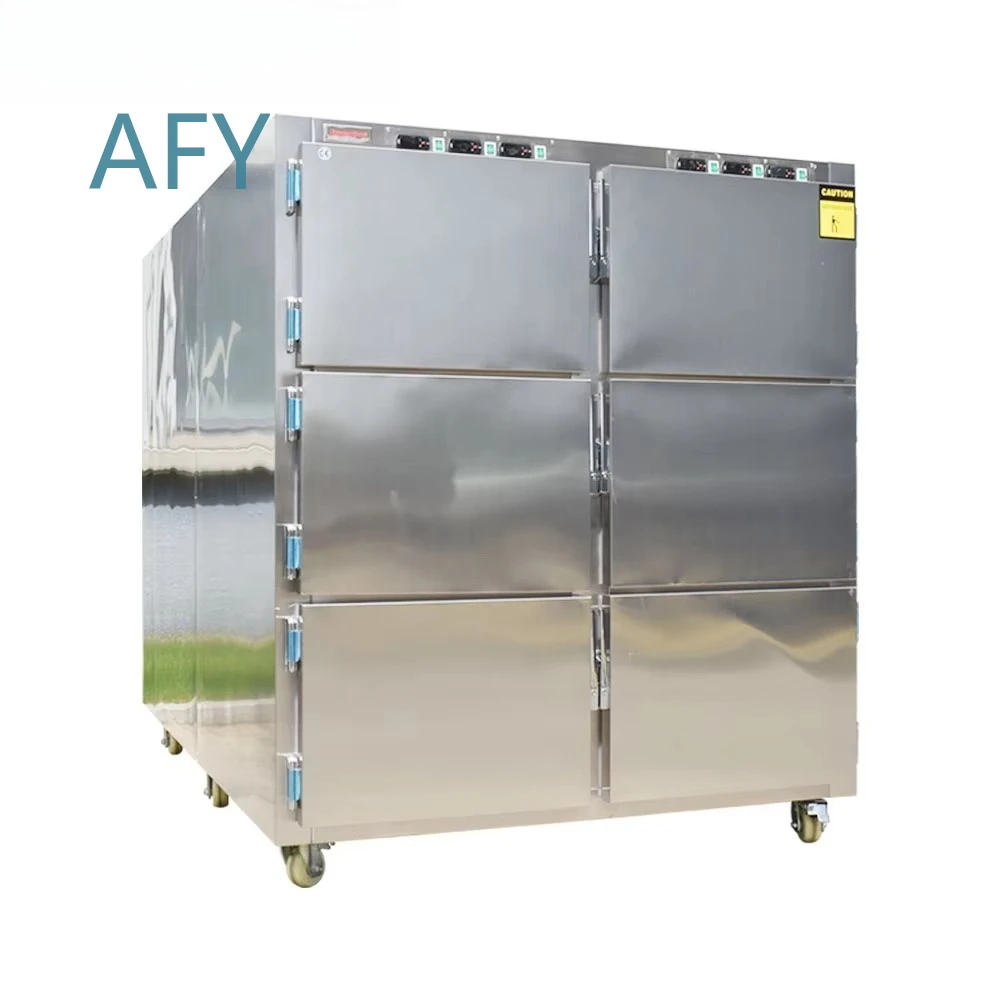 Sysmedpalace Rooms 1-9 Corpse Storage Morgue Freezer 6 for morgue freezer for mortuary equipment for body storage freezer for