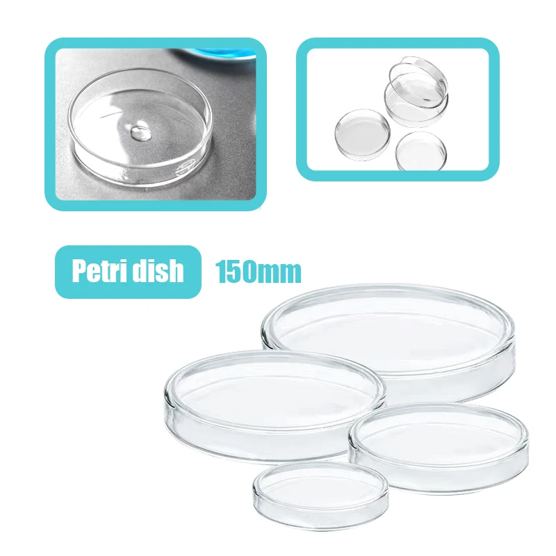 150mm High Borosilicate Glass Petri Dishes Affordable Culture Of Bacteria Cells And Lactic Acid Bacteria