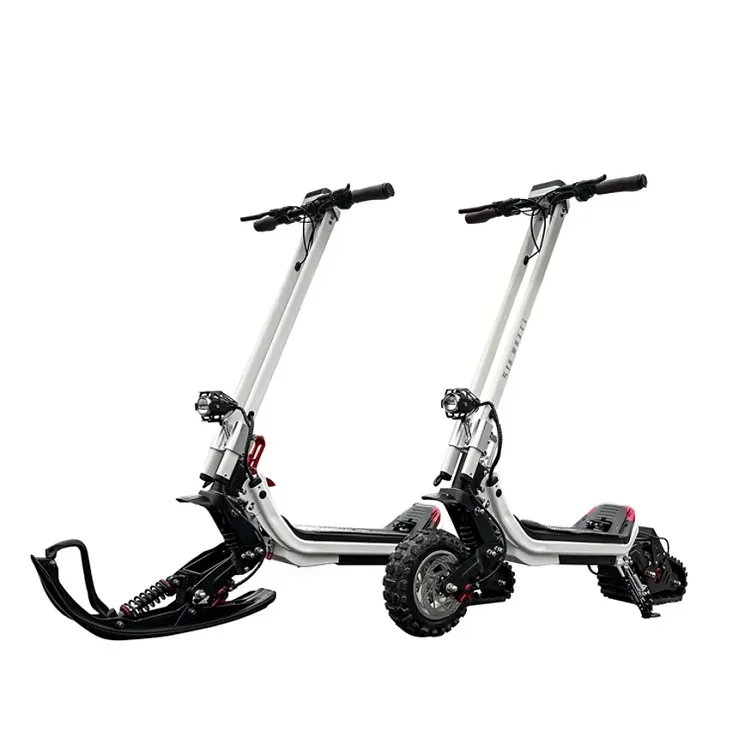 New Arrival 3-In-1 Eretic Snow Scooter  Snowmobile for Sale