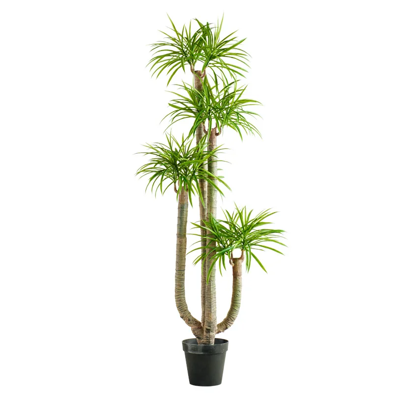 

Large-scale simulated plant potted dragon blood iron tree indoor landscaping shopping mall store floor decoration window