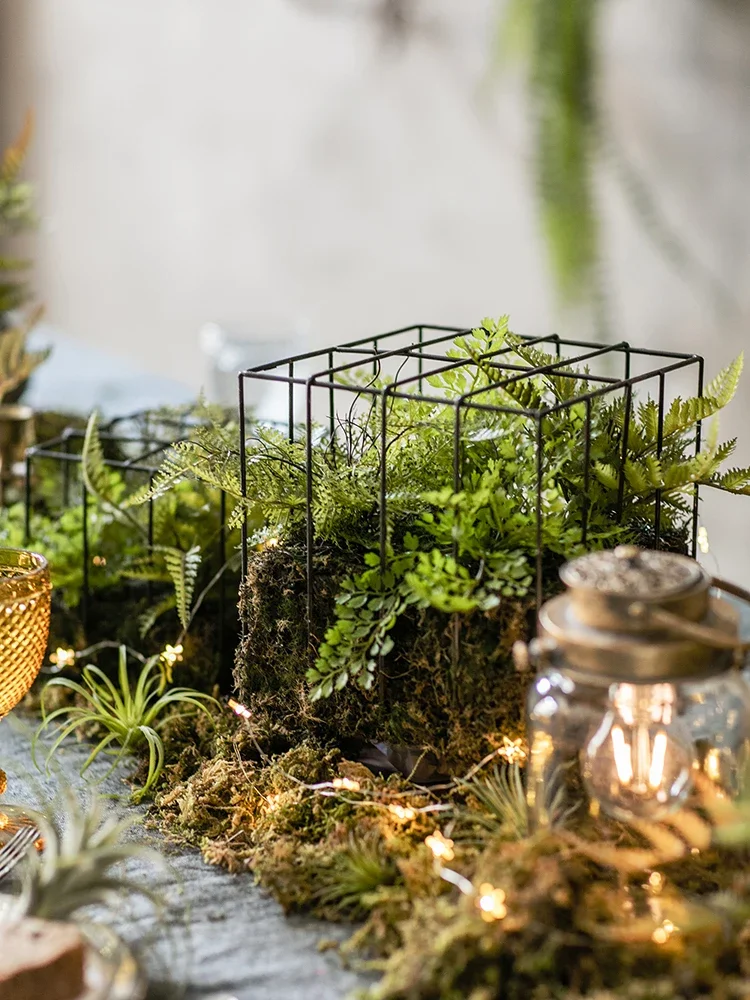 Iron bird cage flower art flower ware simulation plant micro landscape fern leaf green plant decoration display ornament pendant