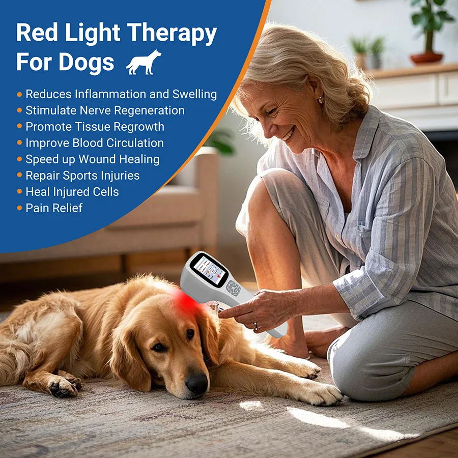2026 Zjzk Veterinary Laser Therapy Dog Equine Joint Pain Relief Device 2.5W 25 Diodes 980nm 905nm 808nm 650nm for Injury Healing