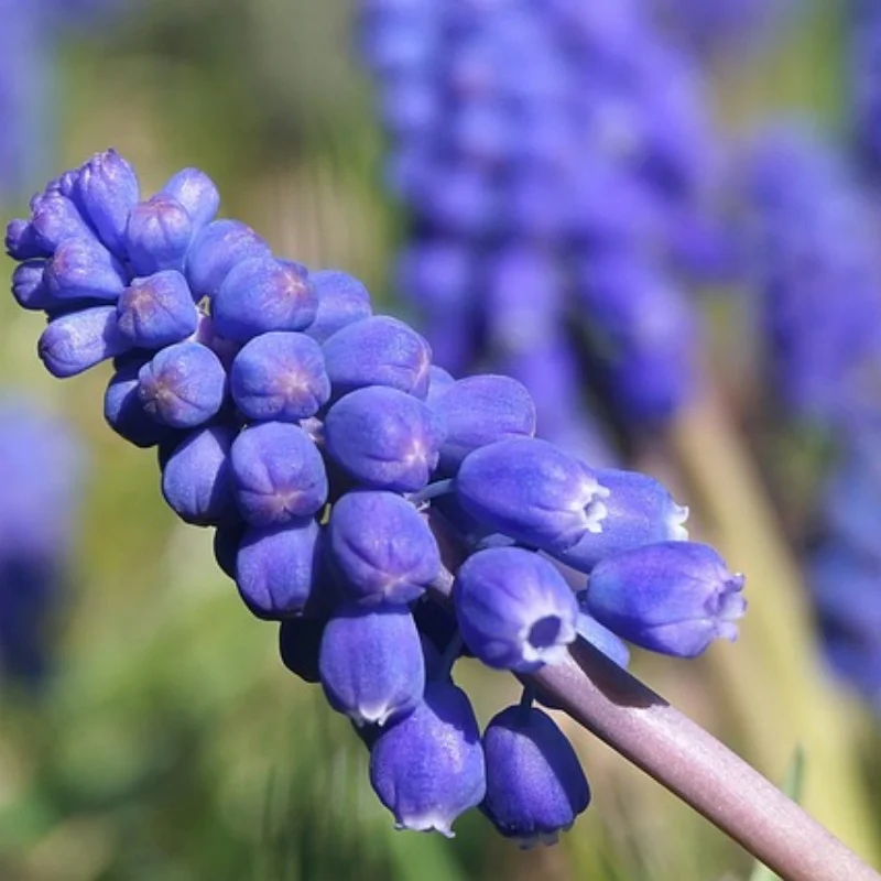 

Резиновые шины и колеса для радиоуправляемых автомобилей, шестигранная ступица 12 мм для автомобильных шин WLtoys 144001 и 1/18 1/16 1/10 (4 шт.)