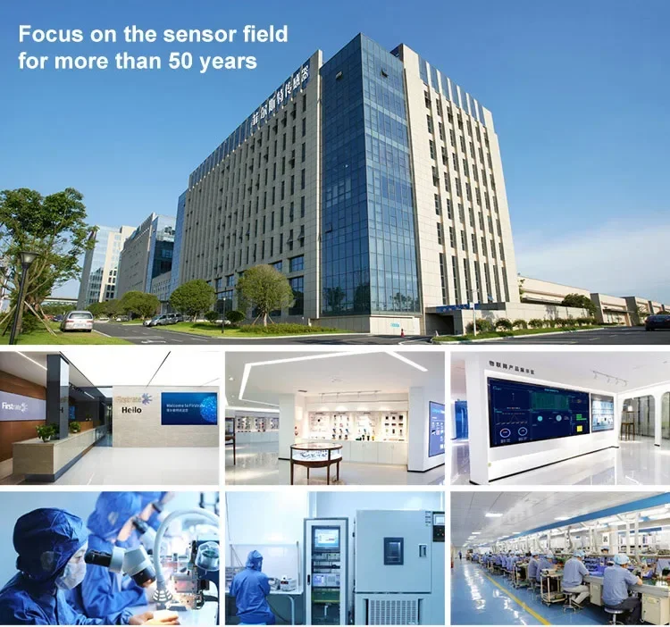 

Firstrate FST100-6101 OEM Simple Install LoRa Wireless Temperature Sensor