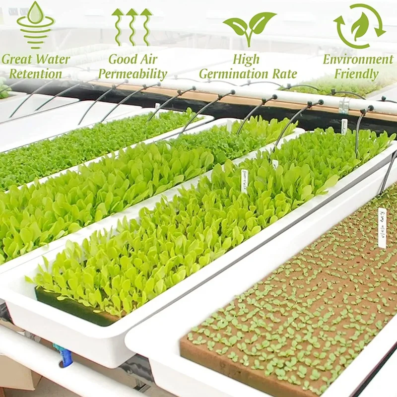 50 шт., Гидропонные кубики для выращивания растений