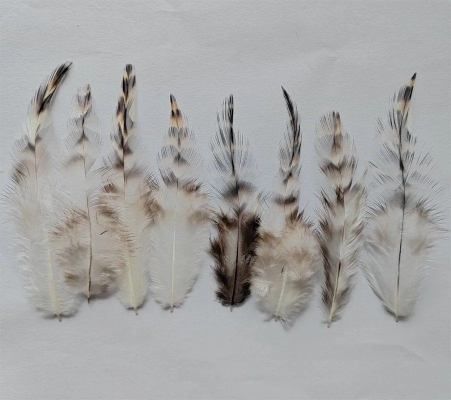 200 pièces 7-10 cm en vrac naturel gris Grizzly coq selles plumes pour l'art, chapellerie, artisanat, coq, Grizzly, garniture