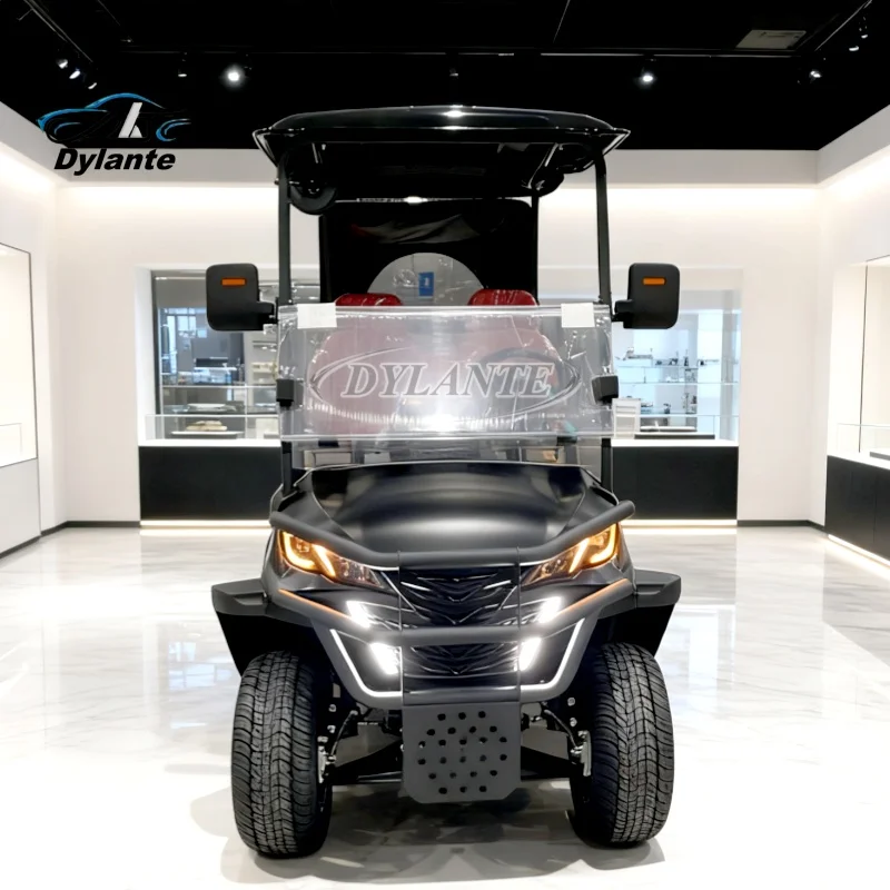 

Электрический гольф-кар для экскурсий, 2-местный, мини-внедорожный охотничий электрокар 72В, свинцово-кислотная батарея/солнечная панель