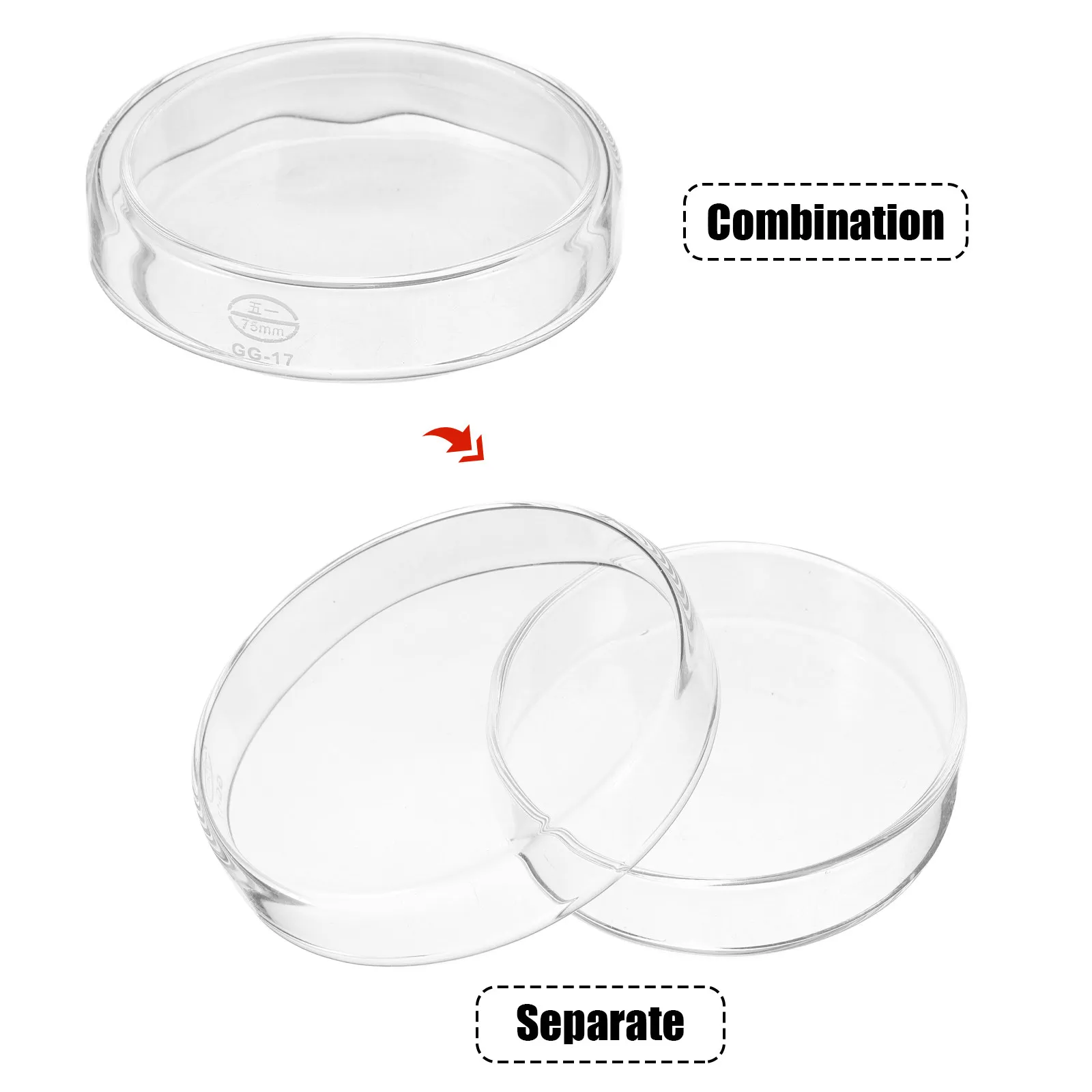 

1Set Glass Petri Dishes Heavy Duty Laboratory Culture Dish for Cell Projects Microscopy Observation Autoclavable