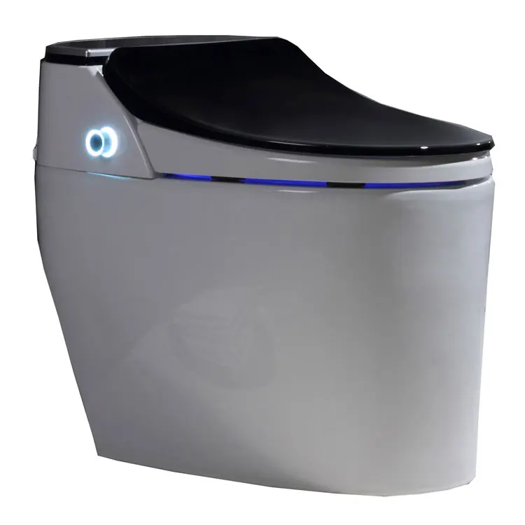 2022 New Design American 110 Voltage Sanitary Ware One Piece Electronic Auto Washing Toilet Smart Toilet