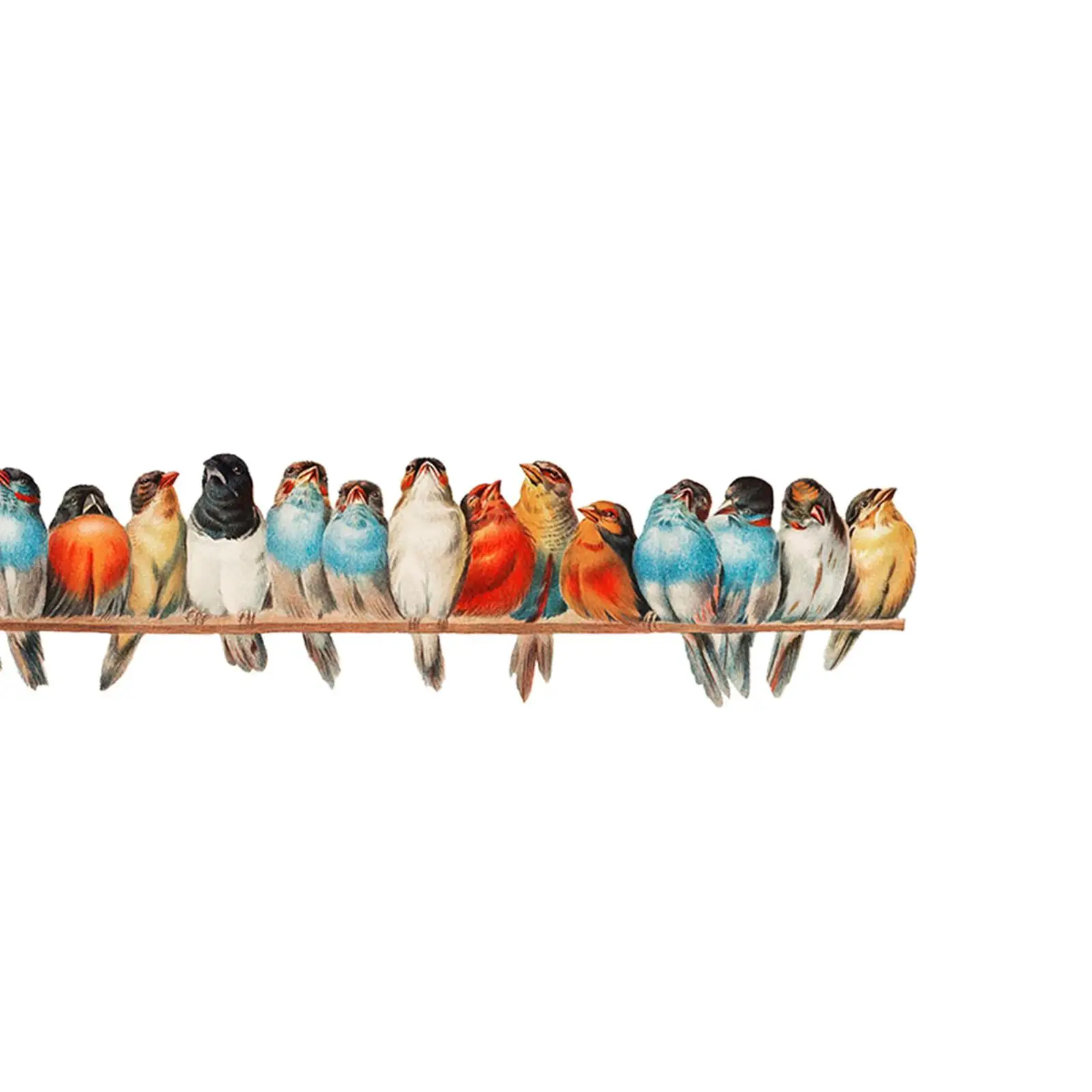 Modern Animal Print Wall Stickers Bird Decal Peelable Wallpaper Waterproof PVC Home Decor for Bedroom Bathroom Living Room