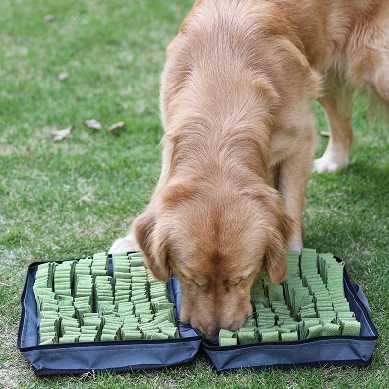 

Dog Snuffle Treat Dispensing Blanket Stuffed Improving Intelligence