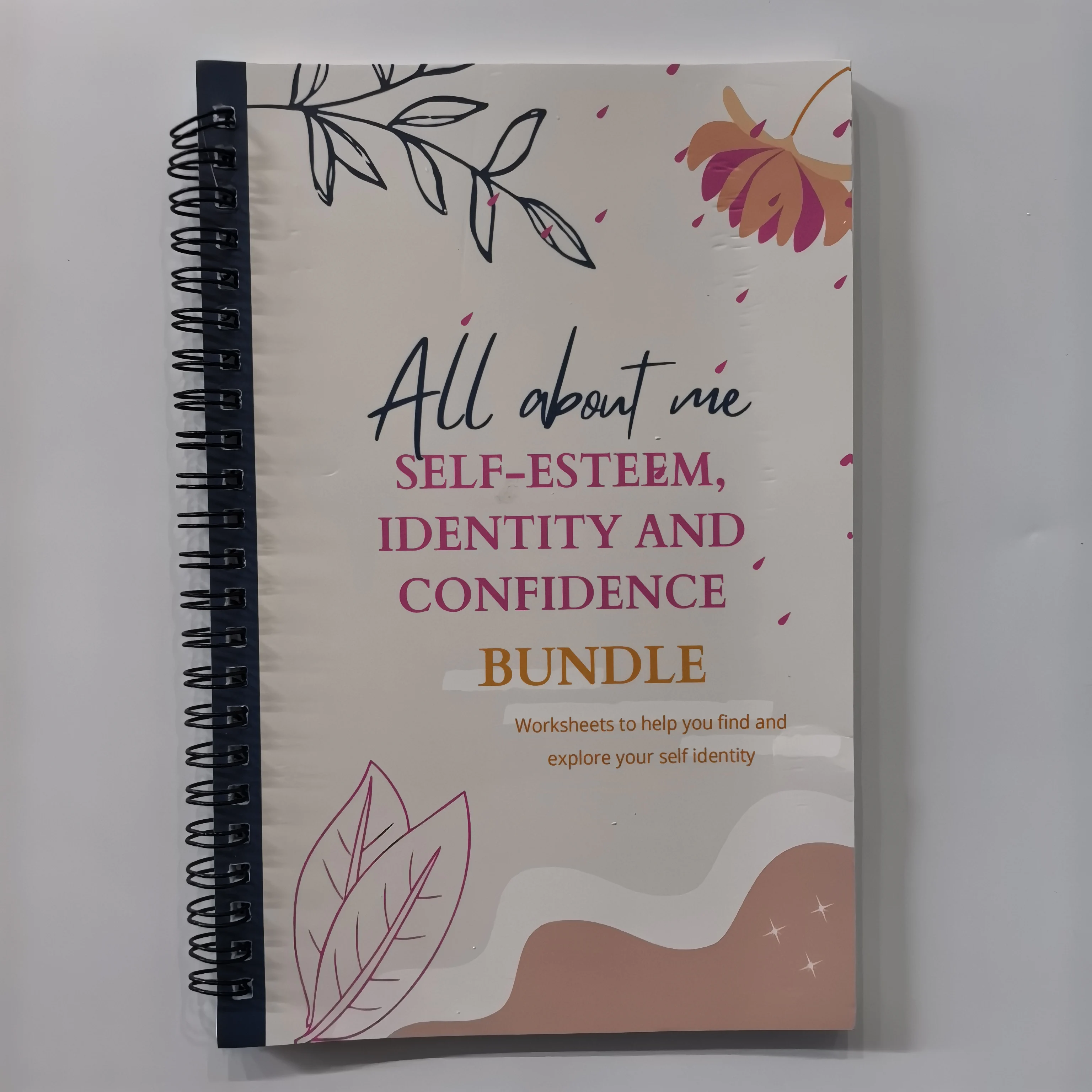 

All about me self esteem identity and confidence logbook