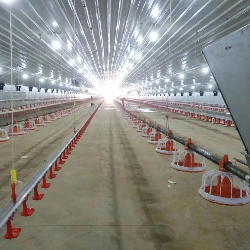 Turnkey Project Full Capacity Henhouse Farm Shed Coop Layer Broiler Farm Raise Grow Equipment Chicken Poultry Breed System Line