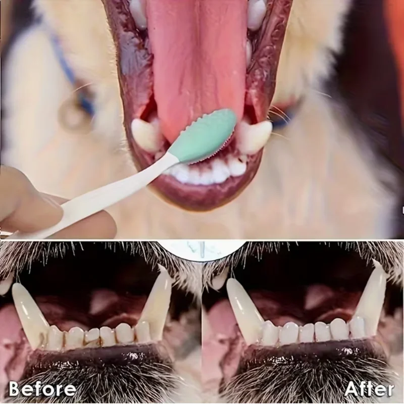 犬用歯ブラシ4個セット - 360 °   歯と舌のコーティ - Teeth Whitening Brush のレビューと価格