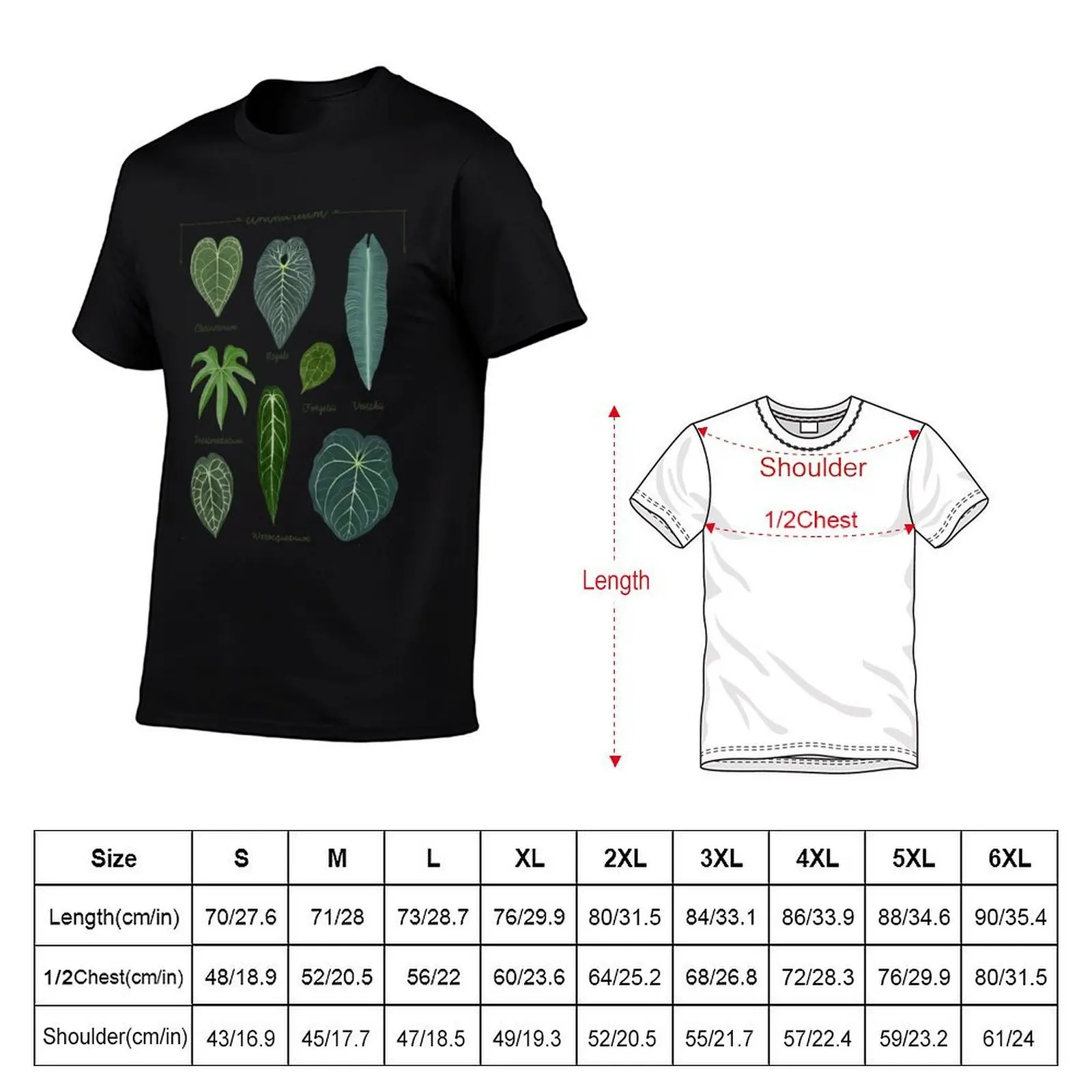 Anthurium leaves species chart botanical illustration T-Shirt man t shirt heavy cotton man t shirts for men casual T-Shirt
