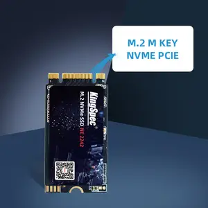 Ssd 248 gb deals