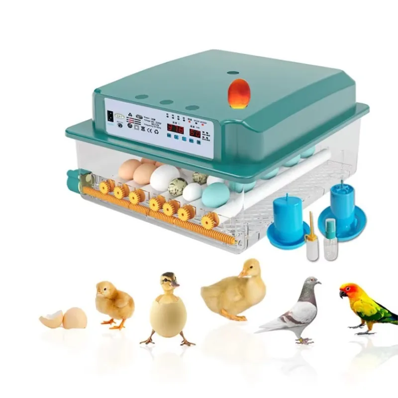 

New Upgrade Dc Ac Power Mini Incubator 16 Eggs Incubator Kit incubator egg incubator
