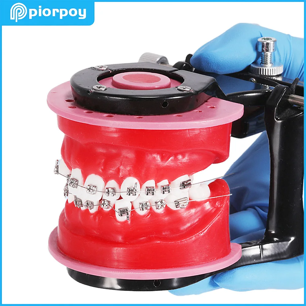 PIORPOY Dental Orthodontic Treatment Model Oral Model Teeth Gingival Wax Bending Typodont Demonstration Tools Dentist Practice