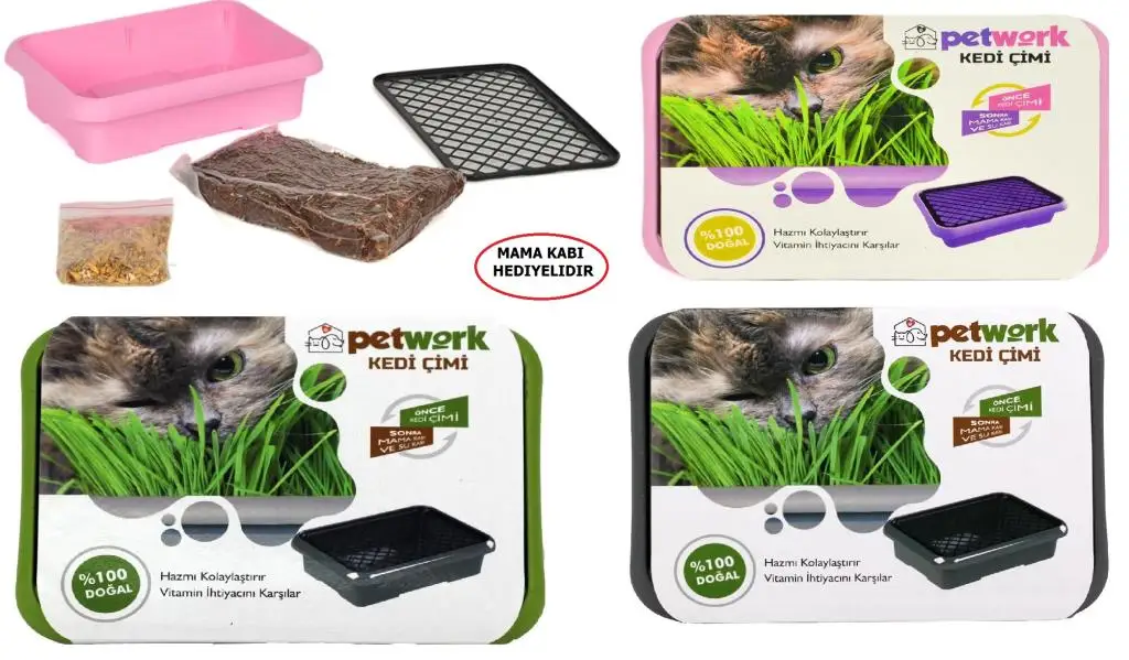 Cat Grass-Infant Food Container/Water Container Gift