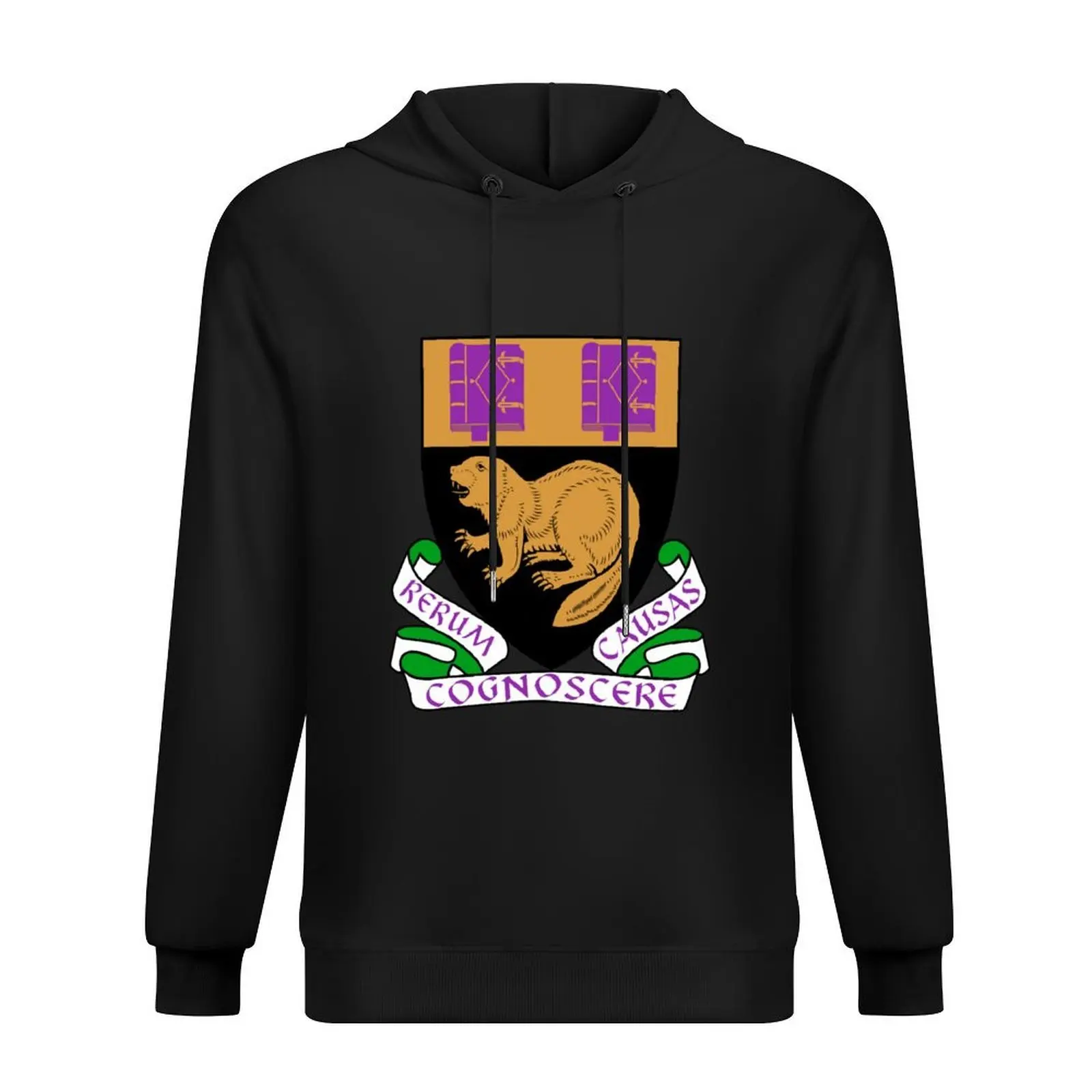 

London School of Economics UK Hoodie anime clothing graphic t shirts men men wear men clothing men's hoodies