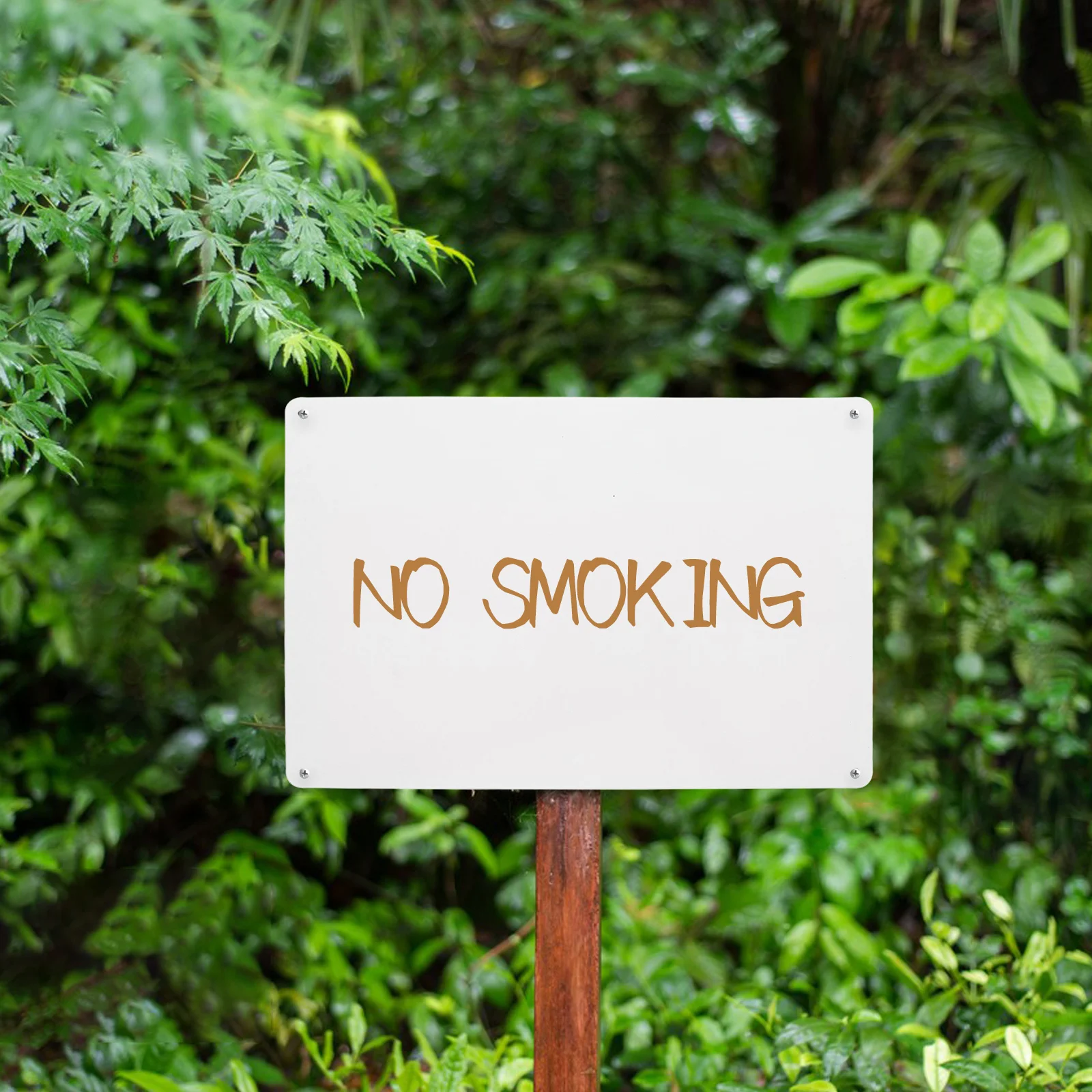 

Blank Signage Metal Tin Board Photo Hanging Signs Door Hanger Tags Sublimation Blanks Yard Signs Craft Supplies