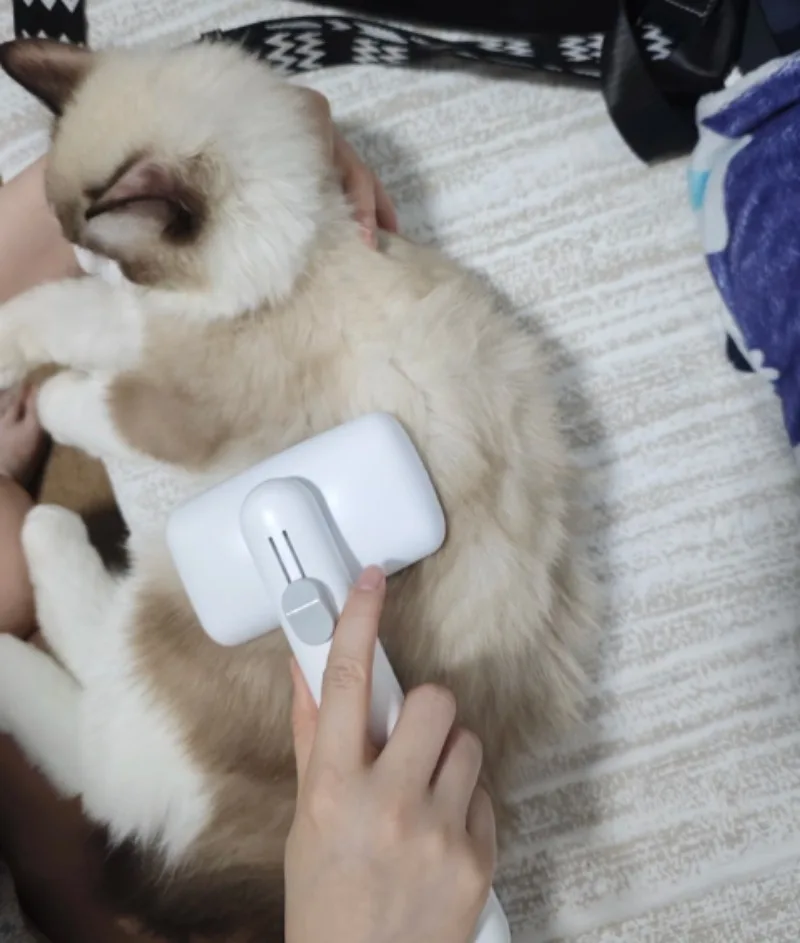 Pet Deshedding Comb, Needle Grooming Brush for Cat & Dog, Pet Hair Remover for Cat Fur Cleaning