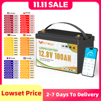FLLYROWER 12V 100Ah LiFePO4 Lithium Battery Pack BMS100A For Inverter Solar Off-Road Off-grid Solar Energy 8000+ Cycles Battery