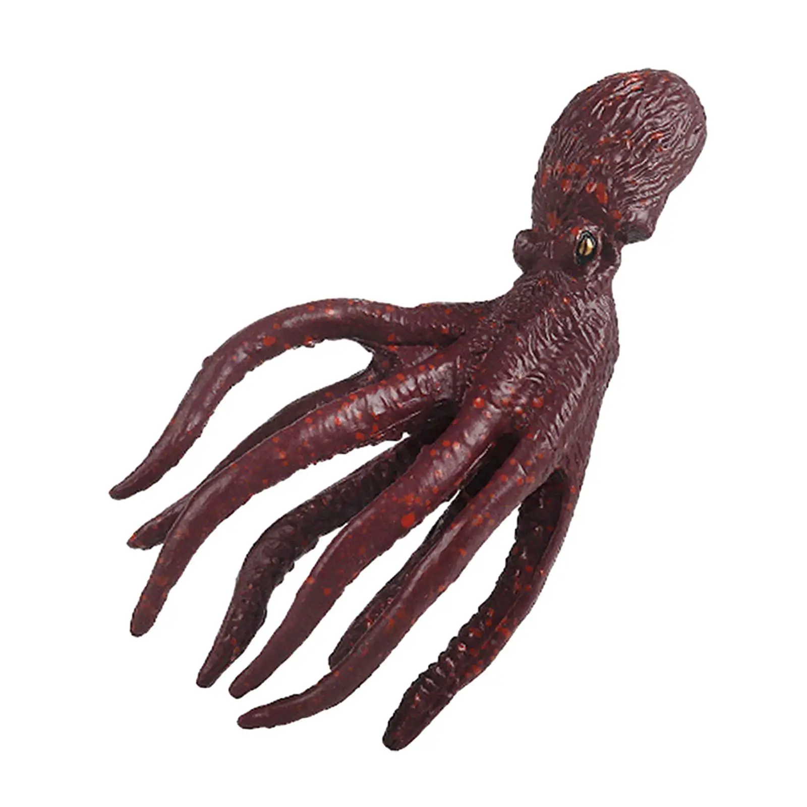 Lifelike Squid Figurine Model Toy, Figura Animal Marinha, Brinquedos científicos