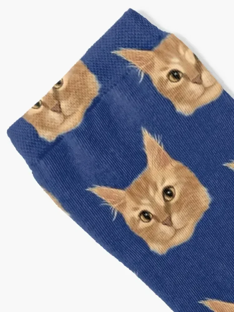 Orange Tabby Cat Portrait Socks Stockings compression snow cool hiphop Socks For Men Women's