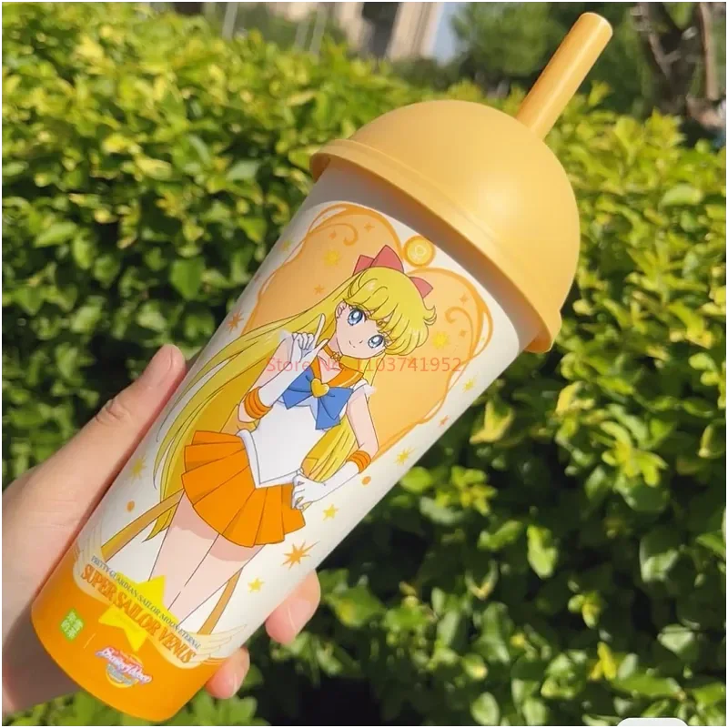 Hot Sale Beauty Girl Warrior Co Branded Cup Branded Color Changing Insulation Cup For Girlfriend Kids Surprise Gift