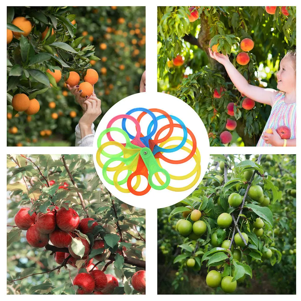 2 Sets Fruit Diameter Gauge Plastic Fruit Vegetable Grading Tool 25-110Mm Accurate Measurement Circles for Home Market Farming