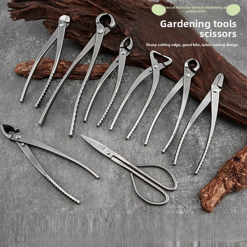 Bonsai Tool Set, Ball Shear Oblique Ball Shear Potted Plant Leaf Bud Shear Special for Gardening, Pruning Tree Nodule