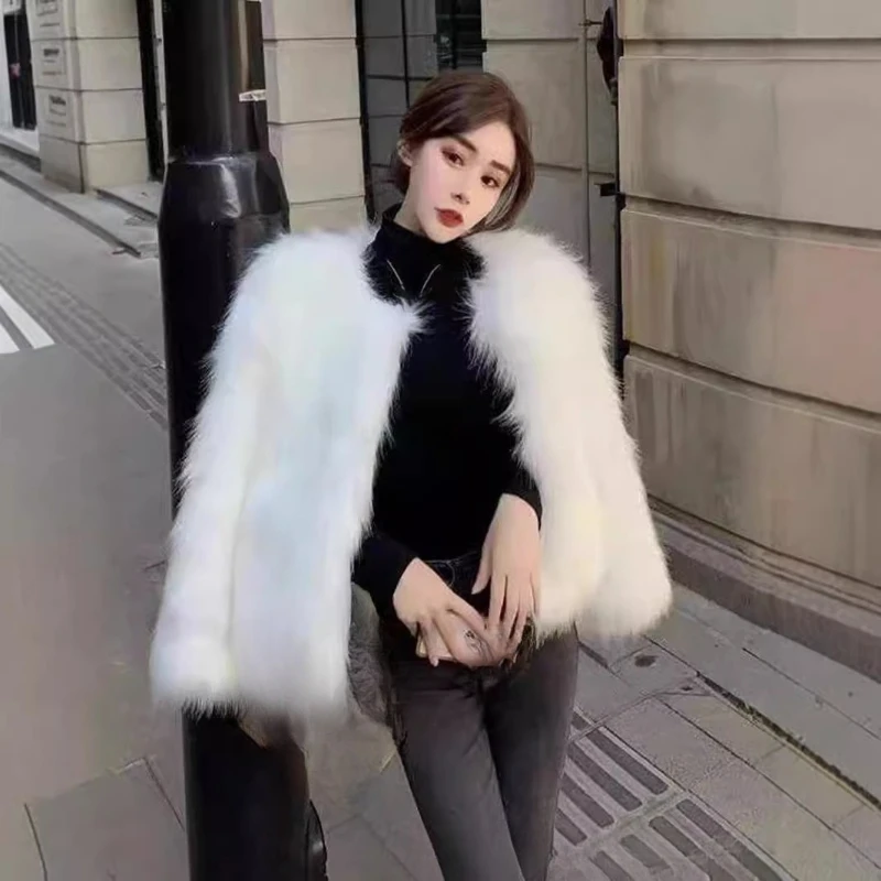 

Autumn and Winter Fur Women's Short New Imitation Fox Hair New Internet Celebrity Young Korean Version Winter Hair Short Coat