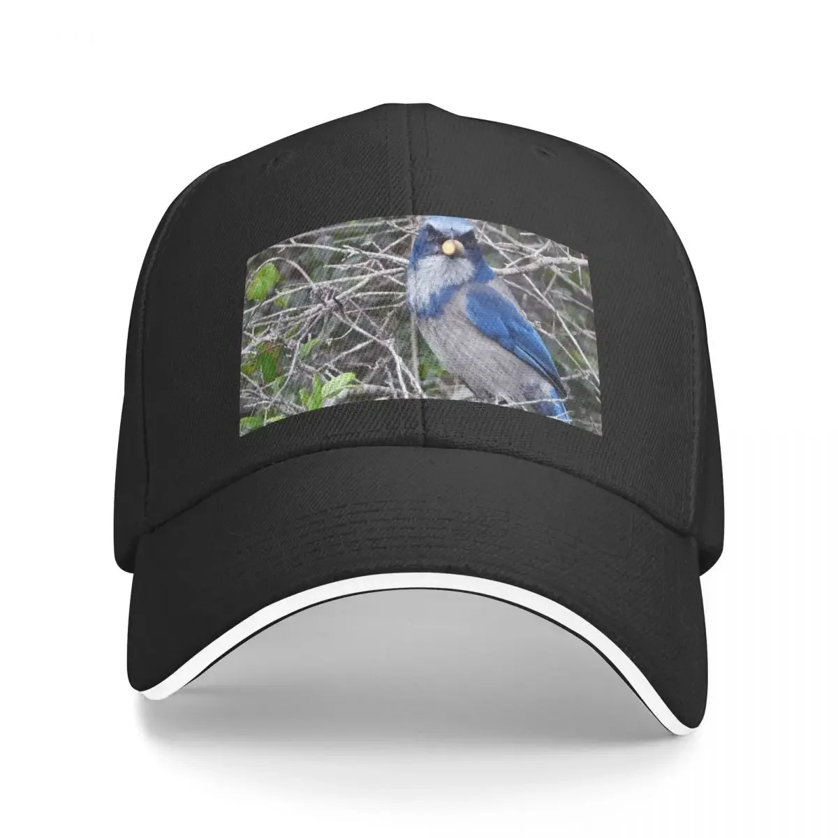 

Scrub JayCap Baseball Cap Mountaineering Custom Cap Women Beach Fashion Men's